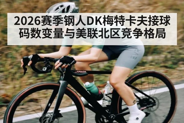 2026赛季钢人DK梅特卡夫接球码数变量与美联北区竞争格局